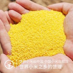 [敖汉有机小米】全球旱作农业发源地!口感香粘糯