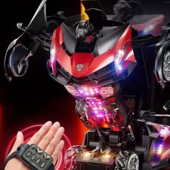 遥控变形车  RC110